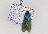  ( - PPATman#012)  @12 [ ] No Rights Reserved (2014) Unspecified TLMF