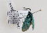  ( - PPATman#014)  @12 [ ] No Rights Reserved (2014) Unspecified TLMF