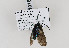  ( - PPATman#016)  @12 [ ] No Rights Reserved (2014) Unspecified TLMF
