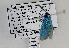  ( - PPJJglo#011)  @12 [ ] CreativeCommons - Attribution Non-Commercial Share-Alike (2015) Gerhard M. Tarmann Tiroler Landesmuseum Ferdinandeum