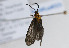  ( - PPNil#fus#003)  @12 [ ] No Rights Reserved  Unspecified Unspecified