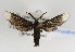  ( - PPPam#her#001)  @11 [ ] No Rights Reserved  Unspecified Unspecified