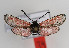  ( - ZZZMmindia001)  @12 [ ] No Rights Reserved  Unspecified Unspecified