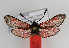  ( - ZZZMmindia003)  @12 [ ] No Rights Reserved  Unspecified Unspecified