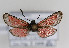  ( - ZZZMpurhel010)  @13 [ ] No Rights Reserved  Unspecified Unspecified