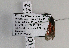 ( - ZZZnevlas001)  @12 [ ] CreativeCommons - Attribution Non-Commercial Share-Alike (2015) Gerhard M. Tarmann Tiroler Landesmuseum Ferdinandeum
