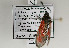  ( - ZZZpunkal001)  @13 [ ] CreativeCommons - Attribution Non-Commercial Share-Alike (2014) Gerhard Tarmann Tiroler Landesmuseum Ferdinandeum