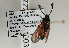  ( - ZZZpunkal003)  @13 [ ] CreativeCommons - Attribution Non-Commercial Share-Alike (2014) Gerhard Tarmann Tiroler Landesmuseum Ferdinandeum