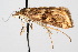  ( - CNCLEP00074417)  @12 [ ] CreativeCommons - Attribution Non-Commercial Share-Alike (2010) Jean-Francois Landry, Canadian National Collections Canadian National Collections