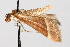 ( - CNCLEP00074461)  @11 [ ] CreativeCommons - Attribution Non-Commercial Share-Alike (2010) Jean-Francois Landry, Canadian National Collections Canadian National Collections