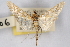  ( - CNCLEP00074804)  @14 [ ] CreativeCommons - Attribution Non-Commercial Share-Alike (2010) Jean-Francois Landry, CNC and Zhaofu Yang, BIO Canadian National Collections