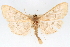  ( - CNCLEP00075072)  @14 [ ] CreativeCommons - Attribution Non-Commercial Share-Alike (2010) Jean-Francois Landry, CNC and Zhaofu Yang, BIO Canadian National Collections