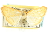  ( - CNCLEP00074290)  @11 [ ] CreativeCommons - Attribution (2010) CBG Photography Group Centre for Biodiversity Genomics