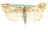  ( - CNCLEP00074387)  @14 [ ] CreativeCommons - Attribution (2010) CBG Photography Group Centre for Biodiversity Genomics