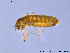  ( - AACHR7)  @13 [ ] CreativeCommons - Attribution Non-Commercial Share-Alike (2011) NTNU Museum of Natural History and Archaeology NTNU Museum of Natural History and Archaeology