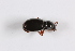  ( - TLMF Col. 00292)  @12 [ ] CreativeCommons - Attribution Non-Commercial Share-Alike (2016) Andreas Eckelt Tiroler Landesmuseum