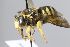  ( - MK-mk1604)  @11 [ ] nrr (2024) Unspecified Max Kasparek