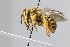  ( - MK-tjw174)  @11 [ ] nrr (2024) Unspecified Max Kasparek