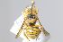  ( - MK-mk0857)  @11 [ ] nrr (2025) Unspecified Max Kasparek