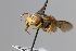  ( - MK-mk2457)  @11 [ ] nrr (2025) Unspecified Max Kasparek