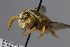  ( - MK-mk2547)  @11 [ ] nrr (2025) Unspecified Max Kasparek
