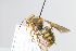  ( - MK-vl012)  @11 [ ] nrr (2025) Unspecified Max Kasparek