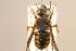  ( - MK-awe084)  @11 [ ] nrr (2022) Unspecified Max Kasparek