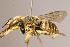  ( - Mons360)  @11 [ ] nrr (2020) Unspecified Max Kasparek