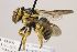  ( - MK-mbou130)  @11 [ ] nrr (2021) Unspecified Max Kasparek