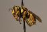  ( - MK-Mbou260)  @11 [ ] nrr (2023) Unspecified Max Kasparek
