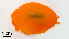  ( - Gast2)  @11 [ ] CreativeCommons Attribution Non Commercial (by nc) (2019) Maycol E. Madrid C. Smithsonian Tropical Research Institute