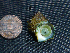  (Turbo saxosus - Gast153)  @11 [ ] CreativeCommons - Attribution Share-Alike (2020) Unspecified Smithsonian Tropical Research Institute