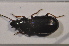  ( - TLMF Col. 00149)  @12 [ ] CreativeCommons - Attribution Non-Commercial Share-Alike (2013) Peter Huemer Tiroler Landesmuseum Ferdinandeum