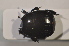  ( - TLMF Col. 00153)  @12 [ ] CreativeCommons - Attribution Non-Commercial Share-Alike (2013) Peter Huemer Tiroler Landesmuseum Ferdinandeum