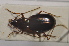  ( - TLMF Col. 00187)  @13 [ ] CreativeCommons - Attribution Non-Commercial Share-Alike (2013) Peter Huemer Tiroler Landesmuseum Ferdinandeum
