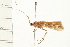  ( - 08ABCAD-0043)  @13 [ ] CreativeCommons - Attribution (2008) Unspecified Centre for Biodiversity Genomics