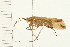  ( - 08ABCAD-0056)  @13 [ ] CreativeCommons - Attribution (2008) Unspecified Centre for Biodiversity Genomics