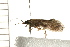  ( - 08ABCAD-0092)  @12 [ ] CreativeCommons - Attribution (2008) Unspecified Centre for Biodiversity Genomics