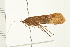  ( - 08ABCAD-0096)  @13 [ ] CreativeCommons - Attribution (2008) Unspecified Centre for Biodiversity Genomics