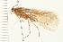  ( - 08ABCAD-0155)  @14 [ ] CreativeCommons - Attribution (2008) Unspecified Centre for Biodiversity Genomics