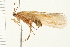  ( - 08ABCAD-0157)  @14 [ ] CreativeCommons - Attribution (2008) Unspecified Centre for Biodiversity Genomics