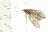  ( - 08ABCAD-0181)  @13 [ ] CreativeCommons - Attribution (2008) Unspecified Centre for Biodiversity Genomics