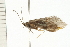 ( - 08ABCAD-0186)  @13 [ ] CreativeCommons - Attribution (2008) Unspecified Centre for Biodiversity Genomics