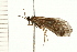  ( - 08ABCAD-0211)  @13 [ ] CreativeCommons - Attribution (2008) Unspecified Centre for Biodiversity Genomics