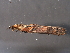  ( - 08ABCAD-0263)  @13 [ ] CreativeCommons - Attribution (2009) Unspecified Centre for Biodiversity Genomics