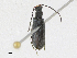  ( - CBG-A21628-C09)  @11 [ ] CreativeCommons - Attribution Share - Alike (2024) CBG Photography Group Centre for Biodiversity Genomics