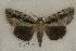  ( - 011-80-170999-SC)  @14 [ ] Unspecified (default): All Rights Reserved  Unspecified Unspecified