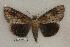  ( - 015-87-030799-LA)  @13 [ ] Copyright (2008) Unspecified Research Collection of Robert J. Borth