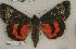  ( - 032-18-300703-AZ)  @13 [ ] Copyright (2008) Unspecified Research Collection of Robert J. Borth