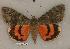  ( - 048-30-300599-TX)  @14 [ ] Unspecified (default): All Rights Reserved  Unspecified Unspecified